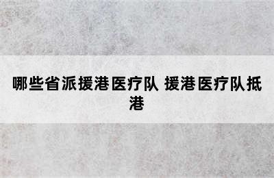 哪些省派援港医疗队 援港医疗队抵港